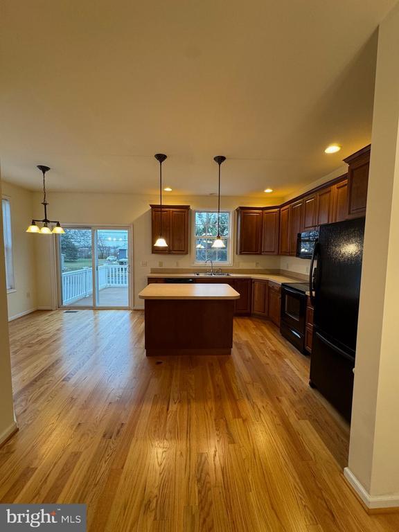 Building Photo - 431 W Baltimore St