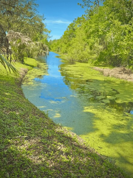 Building Photo - 4399 Brooker Creek Dr