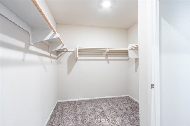 Building Photo - 36469 Shine Dr