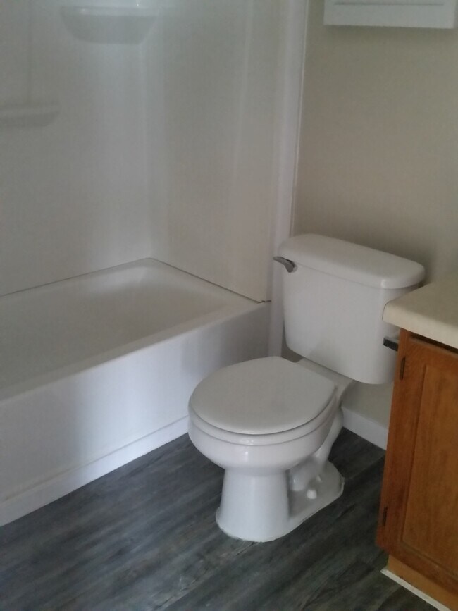 Building Photo - 2 bed 2 bath with washer/dryer connections