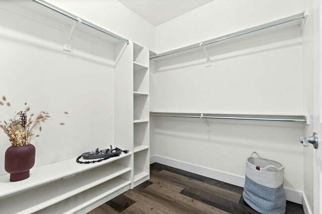 Building Photo - 2153 Springtime Dr