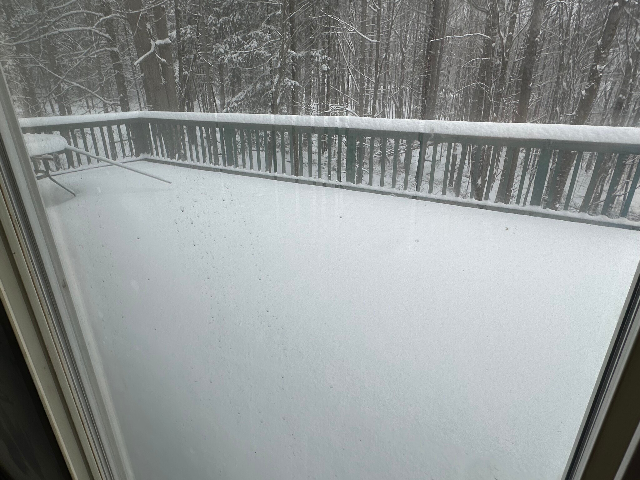 Deck - 64 Wells Farm Rd