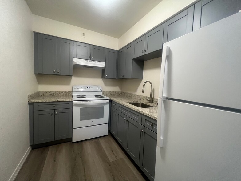127 E. Davis Blvd - Davis Islands Apartments
