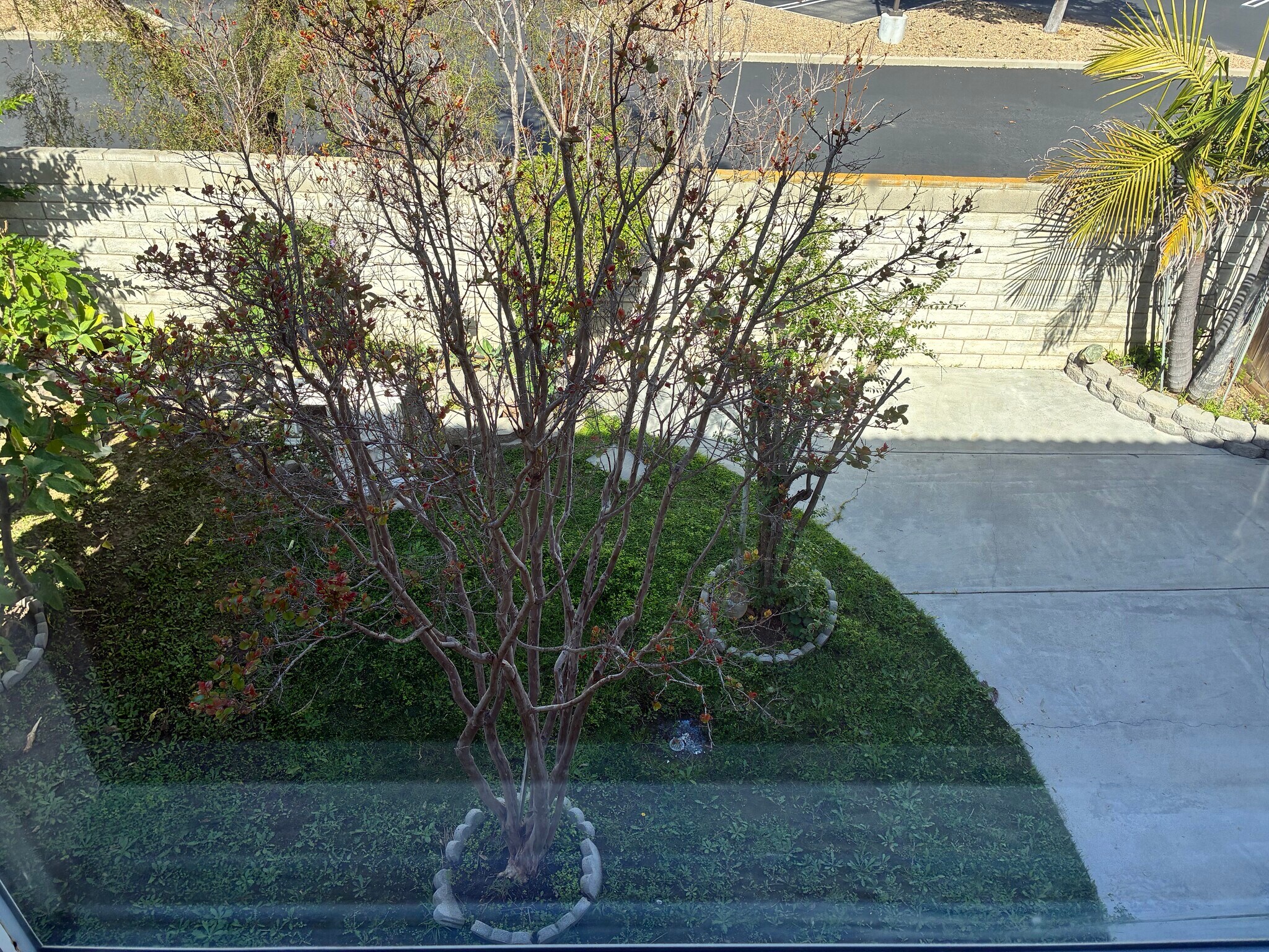 Building Photo - 1617 Norton St