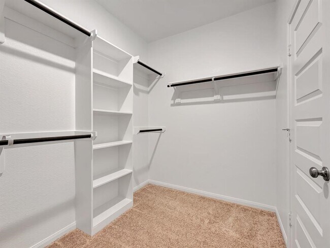 Building Photo - 13119 Everpine Trl