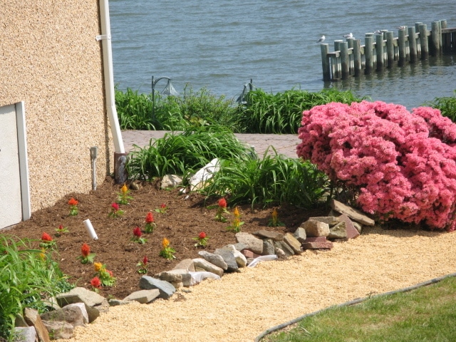flowers and landscaping - 1301 Rogers Rd