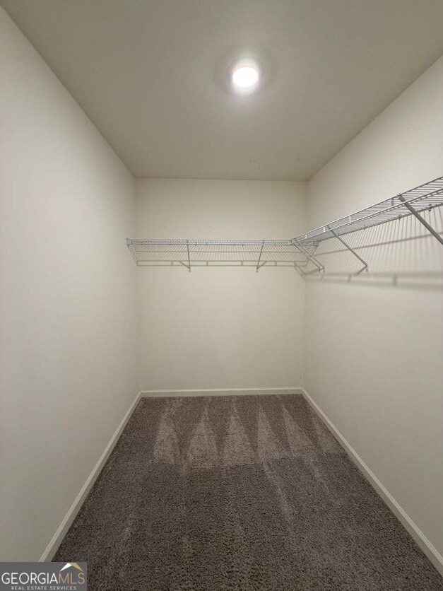 Building Photo - 3520 Condor Ct