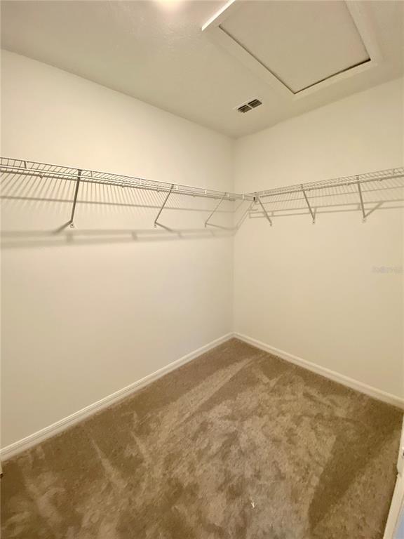 Building Photo - 10373 Lavender Aster Trl