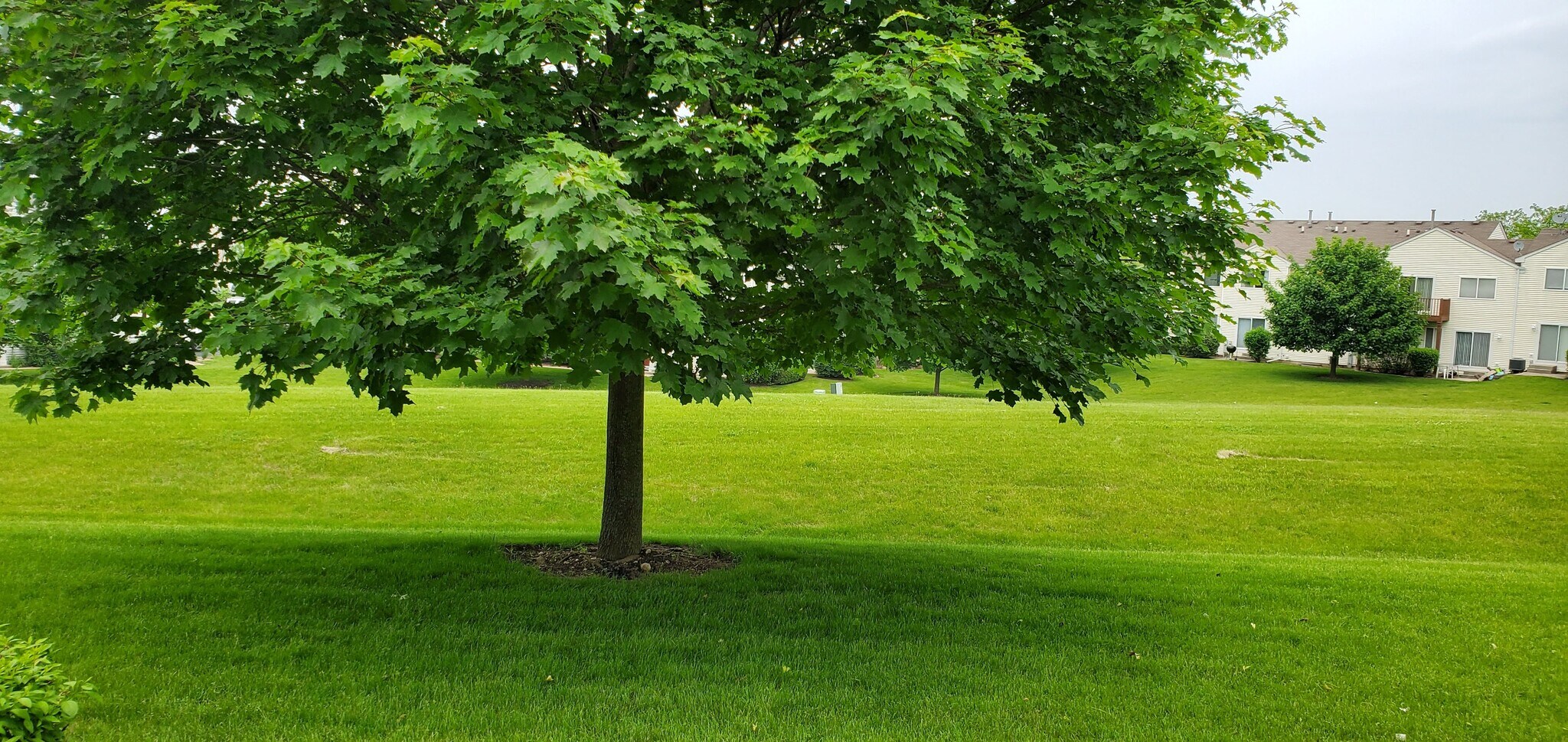 Building Photo - 1522 Meadowsedge Ln