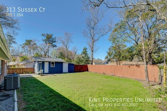 Building Photo - 313 Sussex Ct