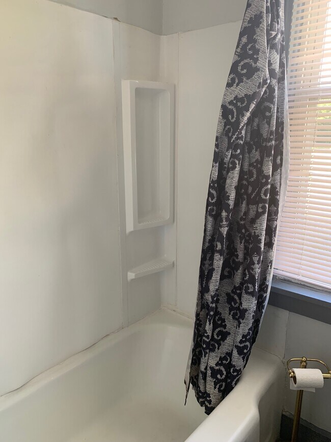 Building Photo - 407 Oak Ave SE