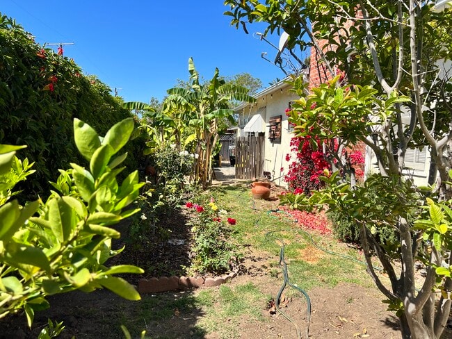 Building Photo - 2909 Ventura Dr