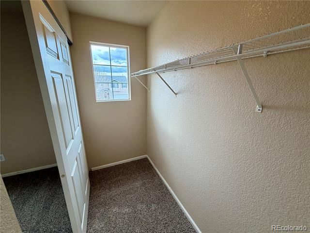 Building Photo - 161 Monares Ln