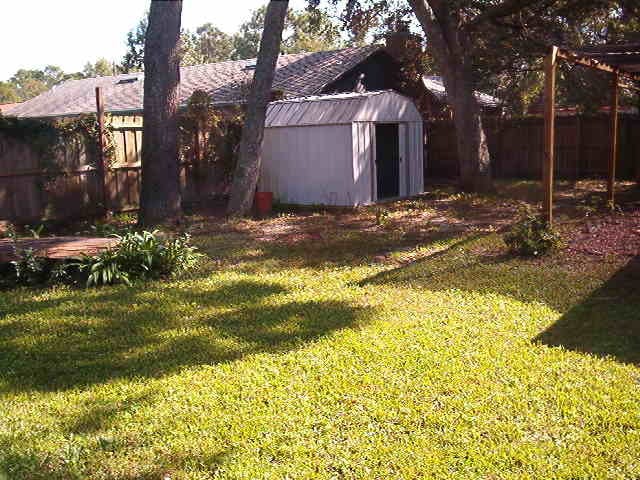 Backyard with shed - 931 McFarlan Ave