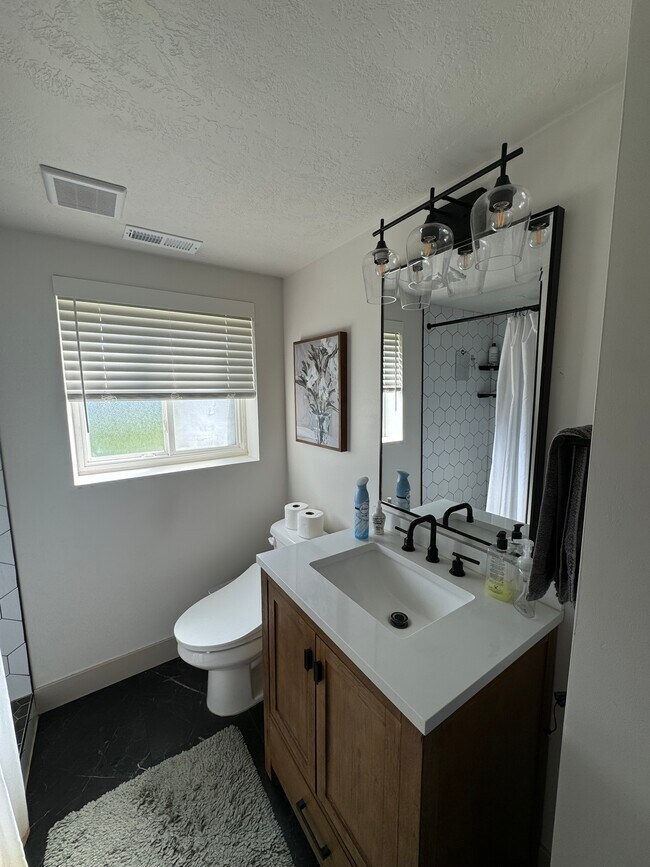 Basement Bathroom - 8717 S Royal Crest Dr