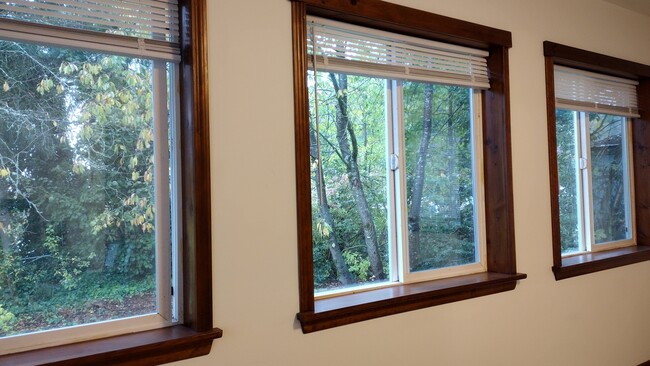 Beautiful view of nature from the Sunroom - 23204 64th Ave W