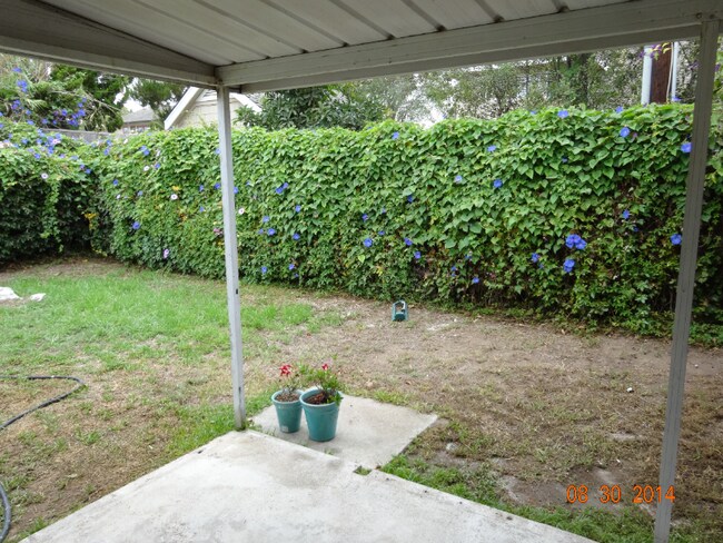 Building Photo - 382 La Perle Pl