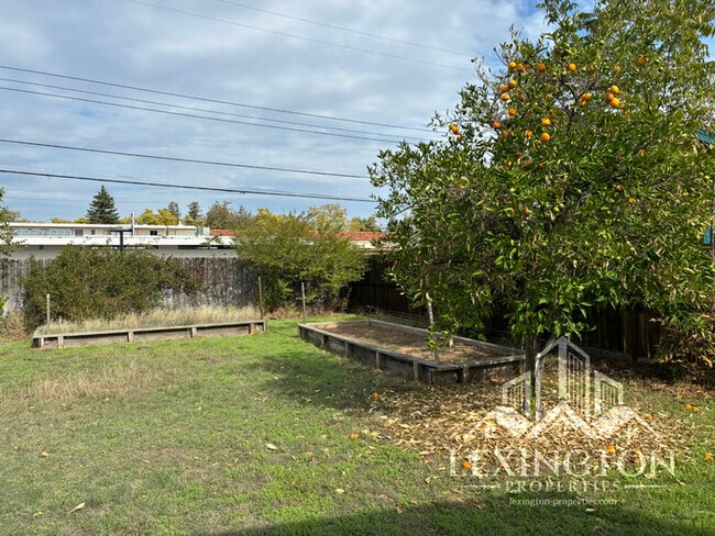 Building Photo - Wonderful, 3BD/2BA, Home off Bell St. and ...