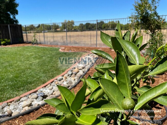 Building Photo - 5311 Delta Dr