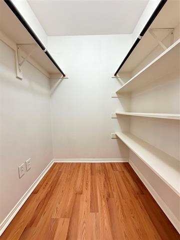 Building Photo - 3603 W Olivia Dr