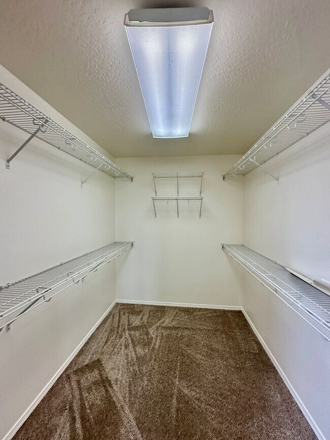 Building Photo - Newly Renovated Expansive Multi story 4 be...