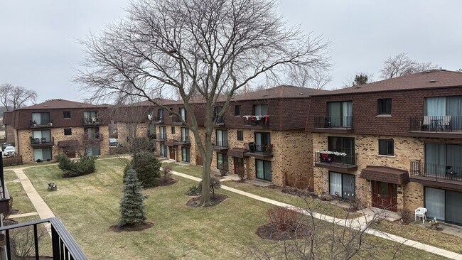 Building Photo - 9717 Bianco Terrace