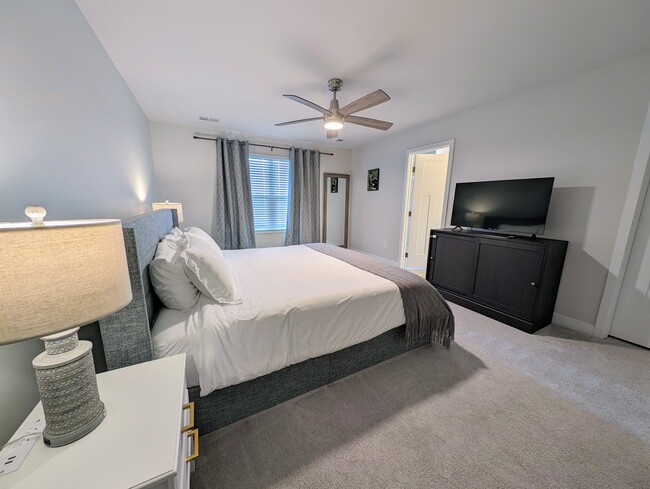 TV, full length mirror, dimmable lamps and ceiling light - 11233 Winding Brook Terrace Dr