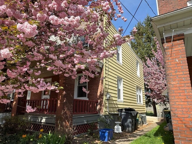 Building Photo - Newly Renovated 3-Bedroom, 1-Bathroom End-Row Townhome with Bonus Room & Backyard!