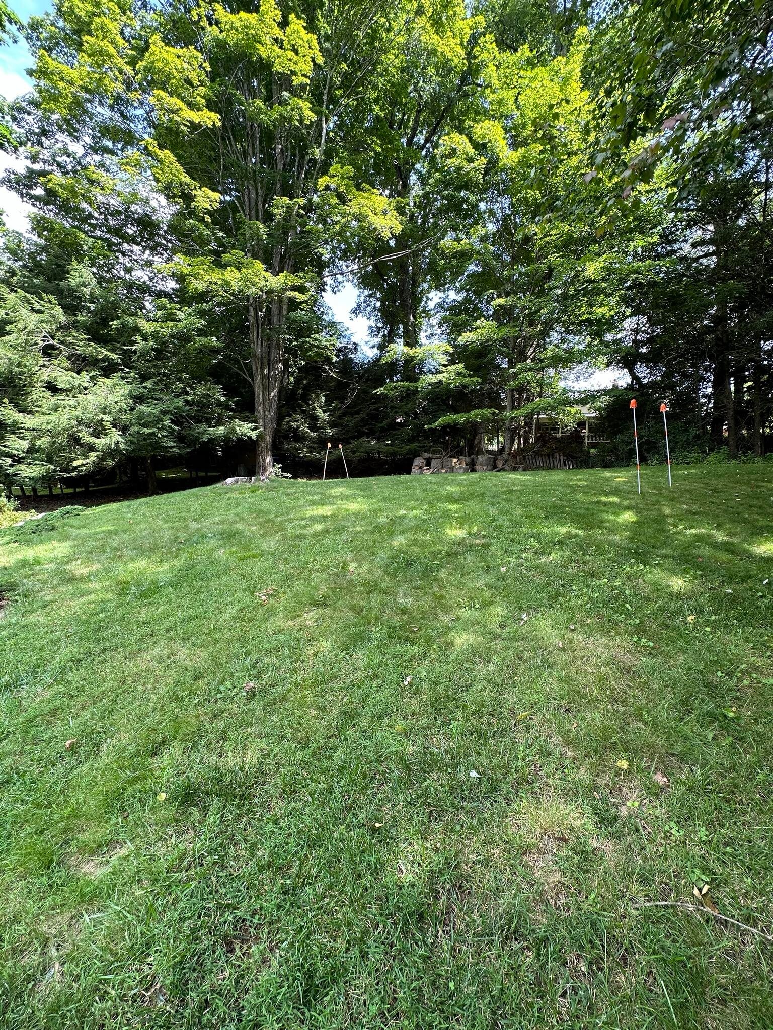 backyard - 260 Cherry Dr