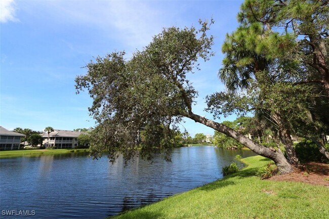 Building Photo - 3611 Wild Pines Dr