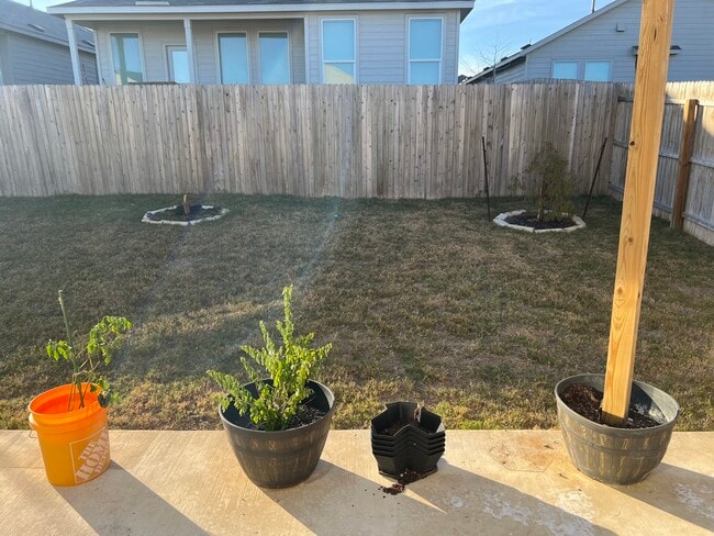 Building Photo - 7211 Green Sapphire