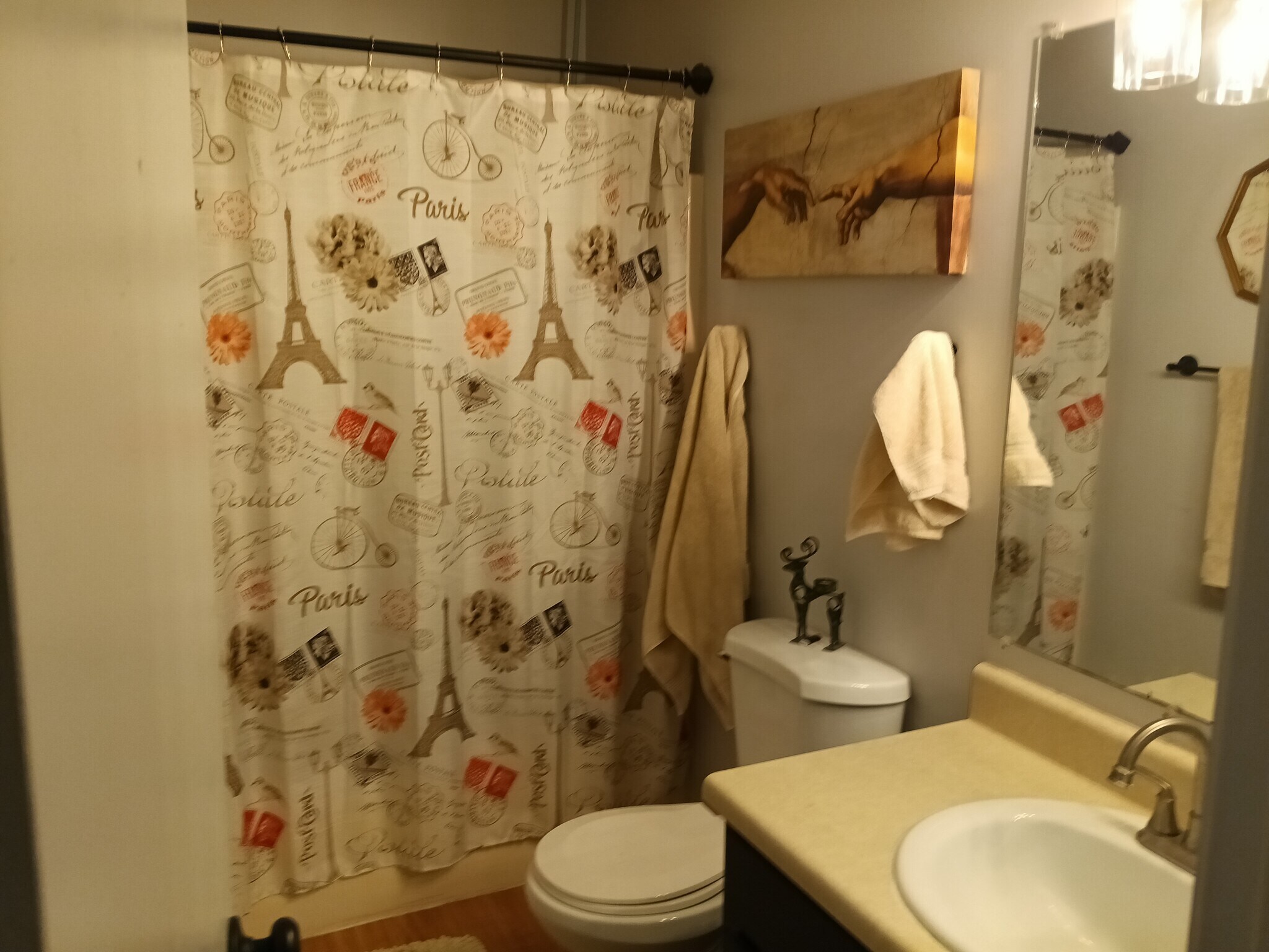 Full bath and shower with walk in storage - 83 Monongahela Dr