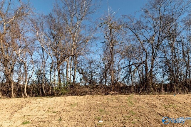 Building Photo - 153 Rosemary Ayers Dr