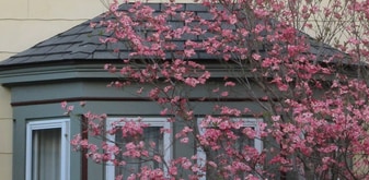 2 bedroom 1 bath sunny apartment - 67 Market St