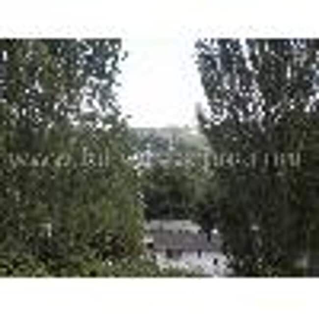 Building Photo - Spacious Fresh updates- Sorry NO PETS