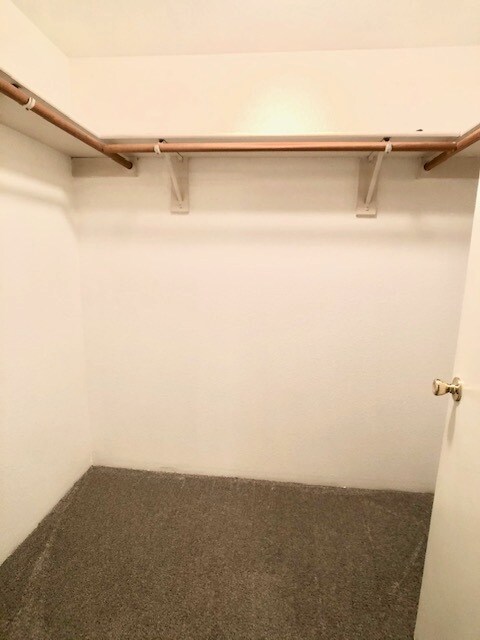 Master walk-in closet - 20905 Fawn Ct