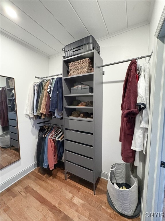 Building Photo - 519 Wendell Terrace