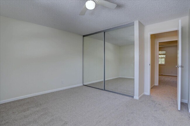 Building Photo - 2+ bedrooms 2.5 bathrooms