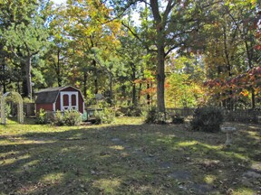 Building Photo - Forest Acres