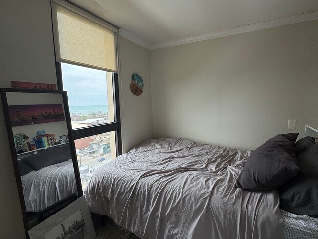 Building Photo - 1540 N La Salle Dr