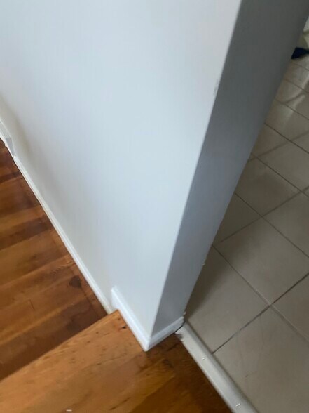 Building Photo - 121 Orlando St