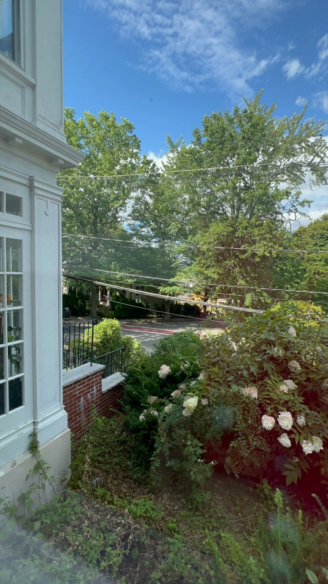 Building Photo - 152 Winchester St