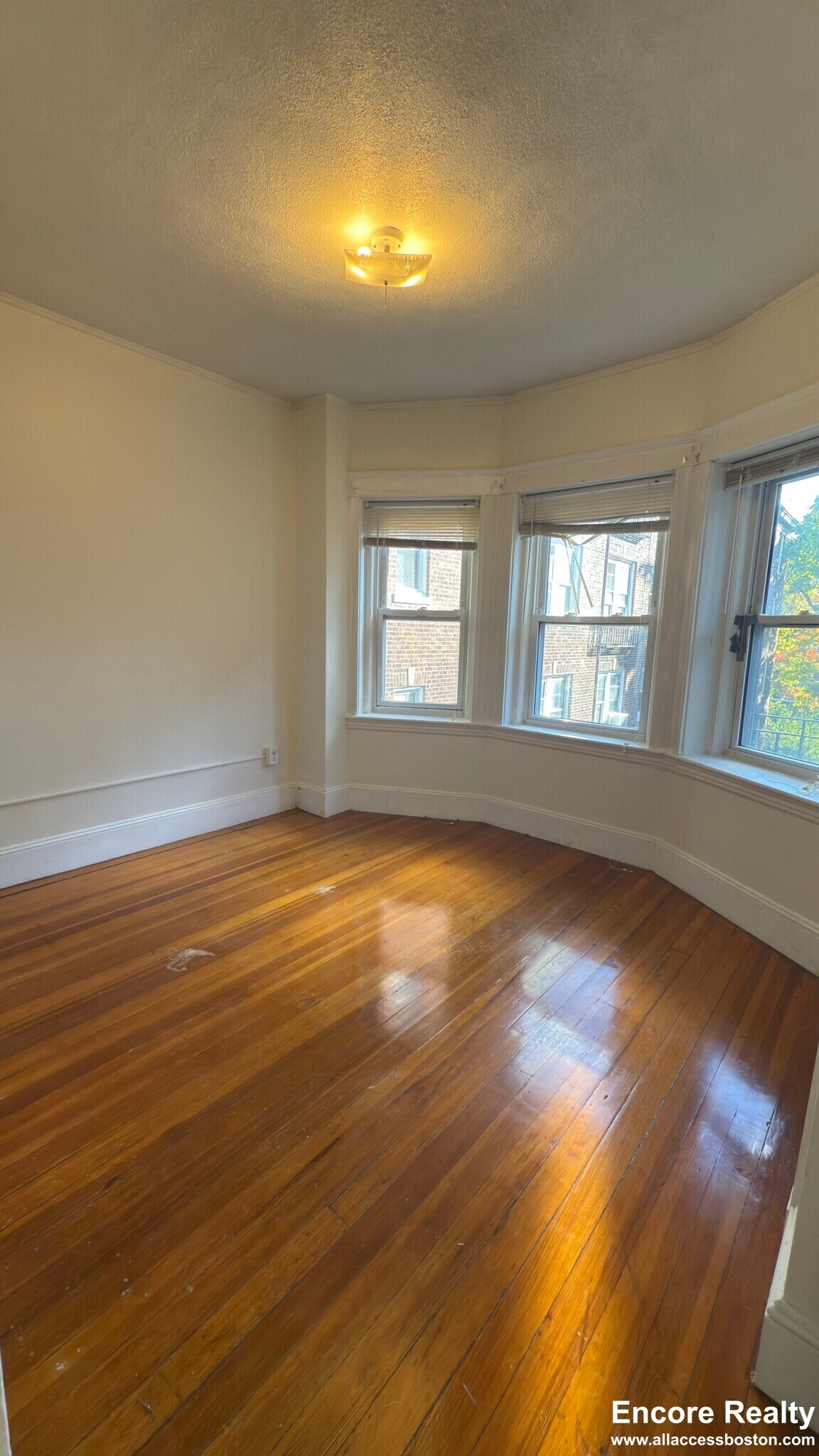 Building Photo - 163 Summer St