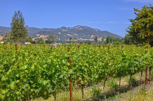 Building Photo - 201 (20300 Arnold)