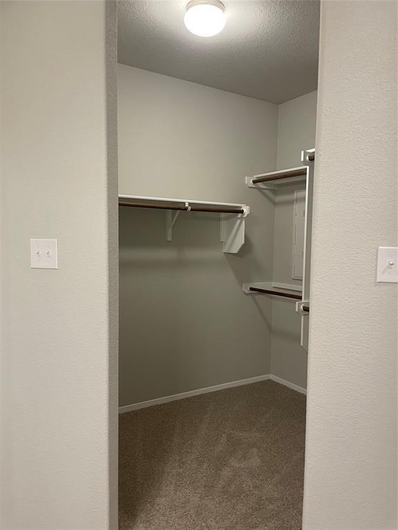 Building Photo - 66 Bent Trl Ln