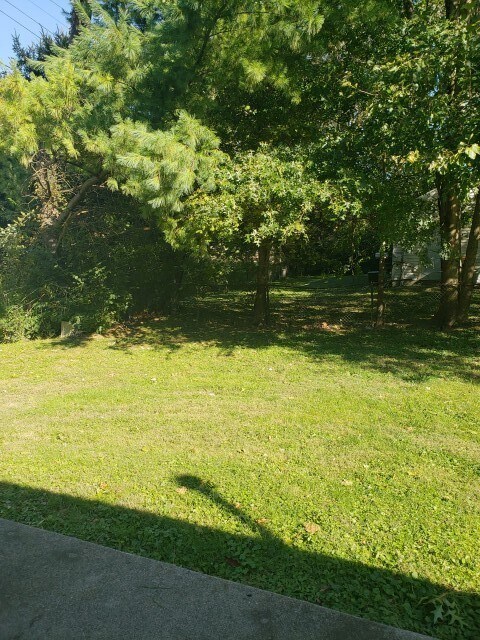 Building Photo - 3 bedroom, 2 bath House: Available August 2026!