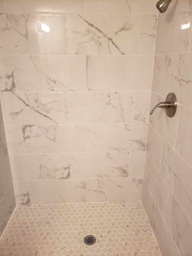 Primary on suite shower - 226 S Iowa St