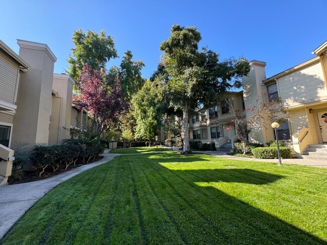 Building Photo - 963 La Mesa Terrace