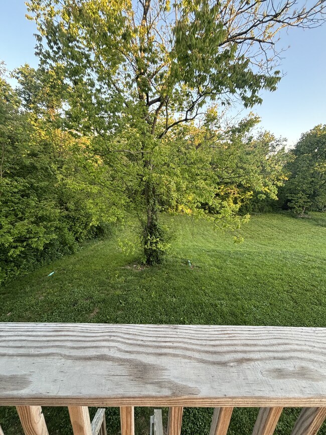 Building Photo - 126 Locust Fork Rd