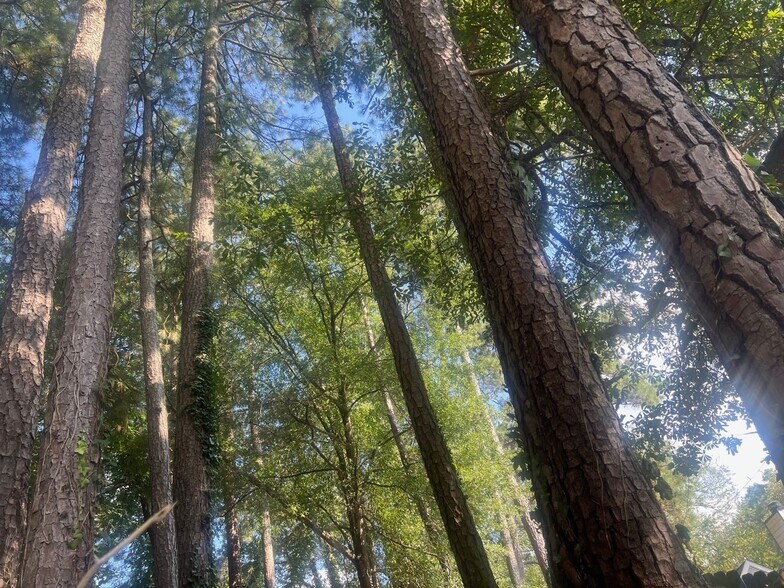 Building Photo - 574 Manning Rd SW